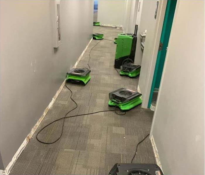 Dehumidifiers and air movers placed along way in a hallway