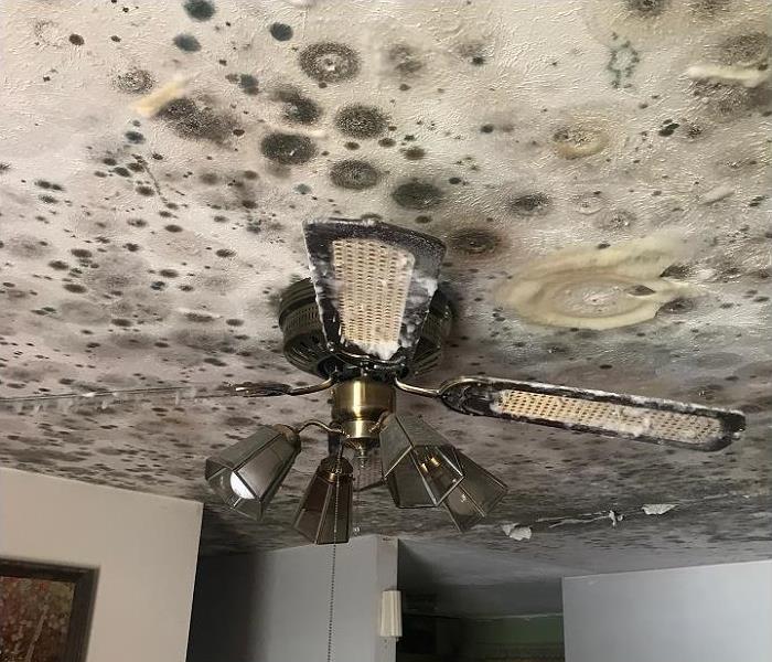 significant water and mold damage on ceiling